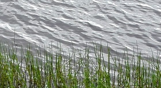 Kesän iloja jokirannassa: veneily, uinti ja kalastaminen