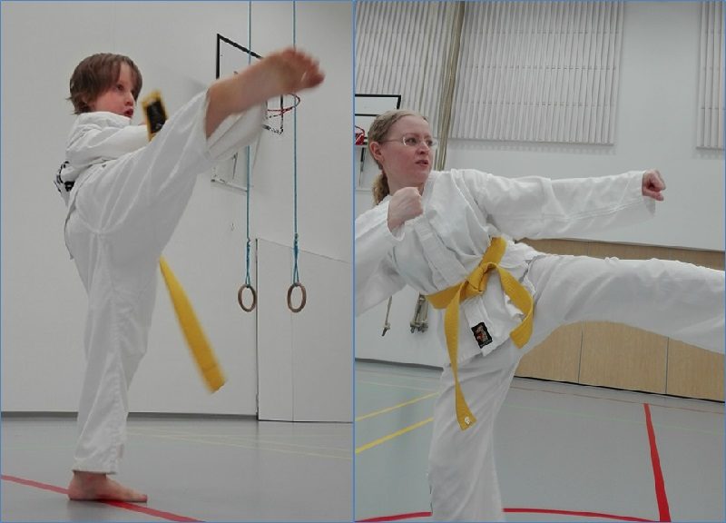 Harrastuksena Taekwon-Do!