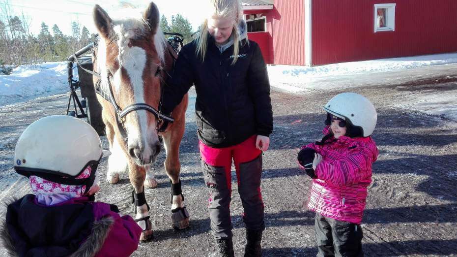 Lapset tutustuvat hevoseen.